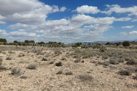Helårsgrund i Caudete, Albacete, Caudete - € 35.000 | Ref: SF0388 - foto 1